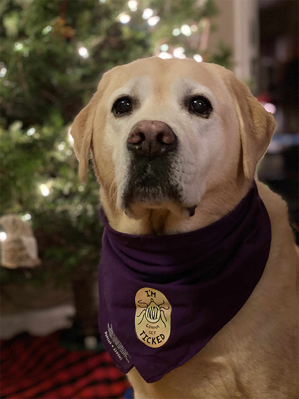 Bandana Treated With Permethrin image 1